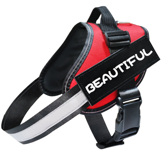 Reflekterande hundkoppel, Hundkoppel, Hundsele